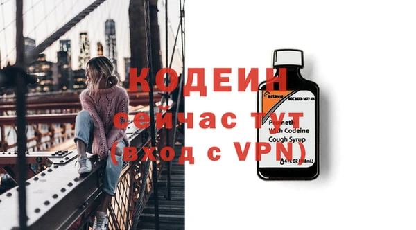 мдпв Елизово