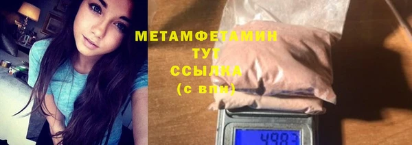 сатива Ельня