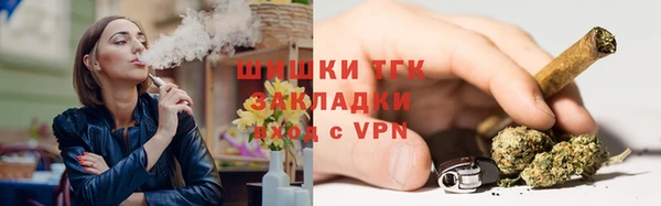 мдпв Елизово