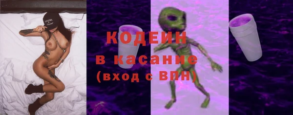 сатива Ельня