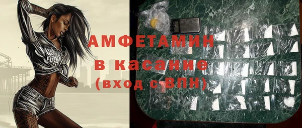 сатива Ельня