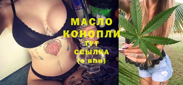 сатива Ельня