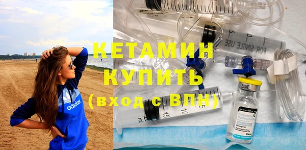 сатива Ельня