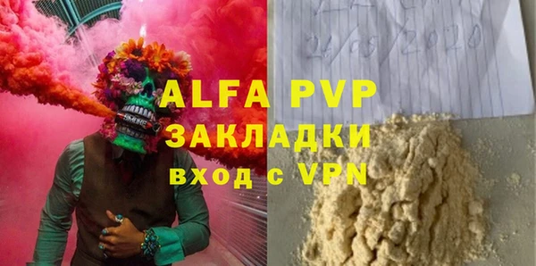 сатива Ельня