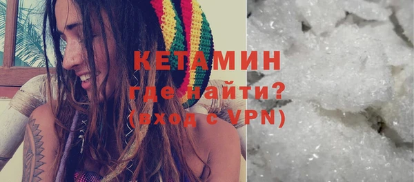 сатива Ельня