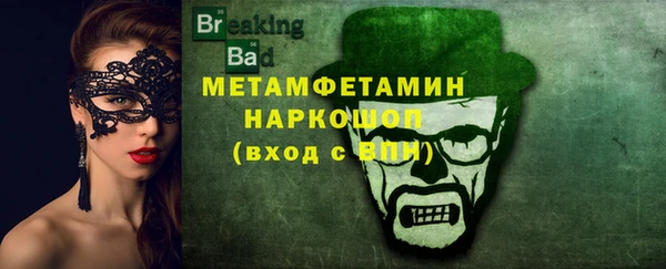 сатива Ельня