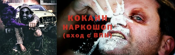 мдпв Елизово