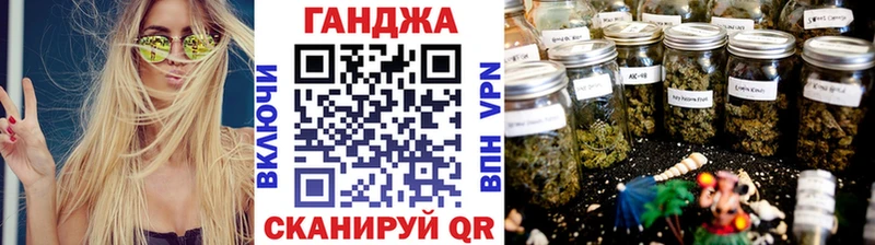 как найти наркотики  Катайск  Бошки Шишки конопля 